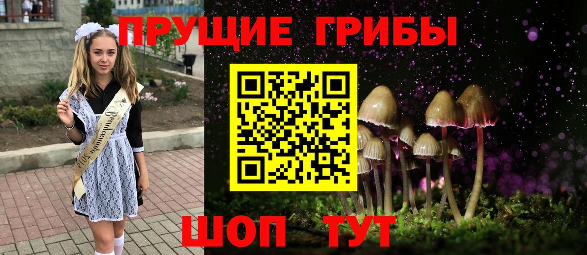 Минеральные Воды  Галлюциногенные грибы прущие грибы  Вход с VPN 